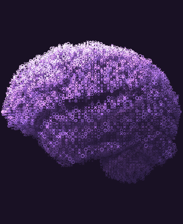 Respresentative image of the brain model